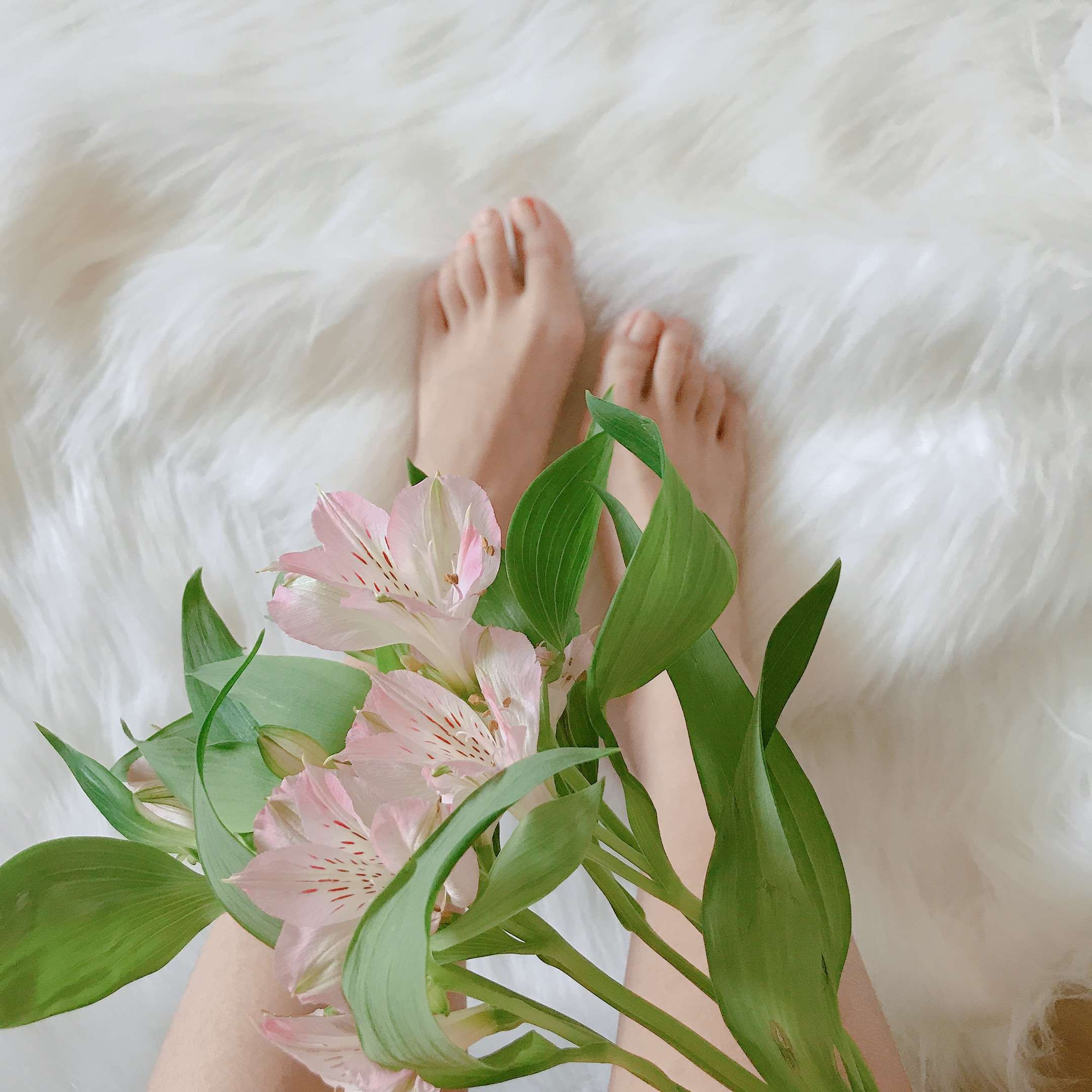 《学姐来了》作品图