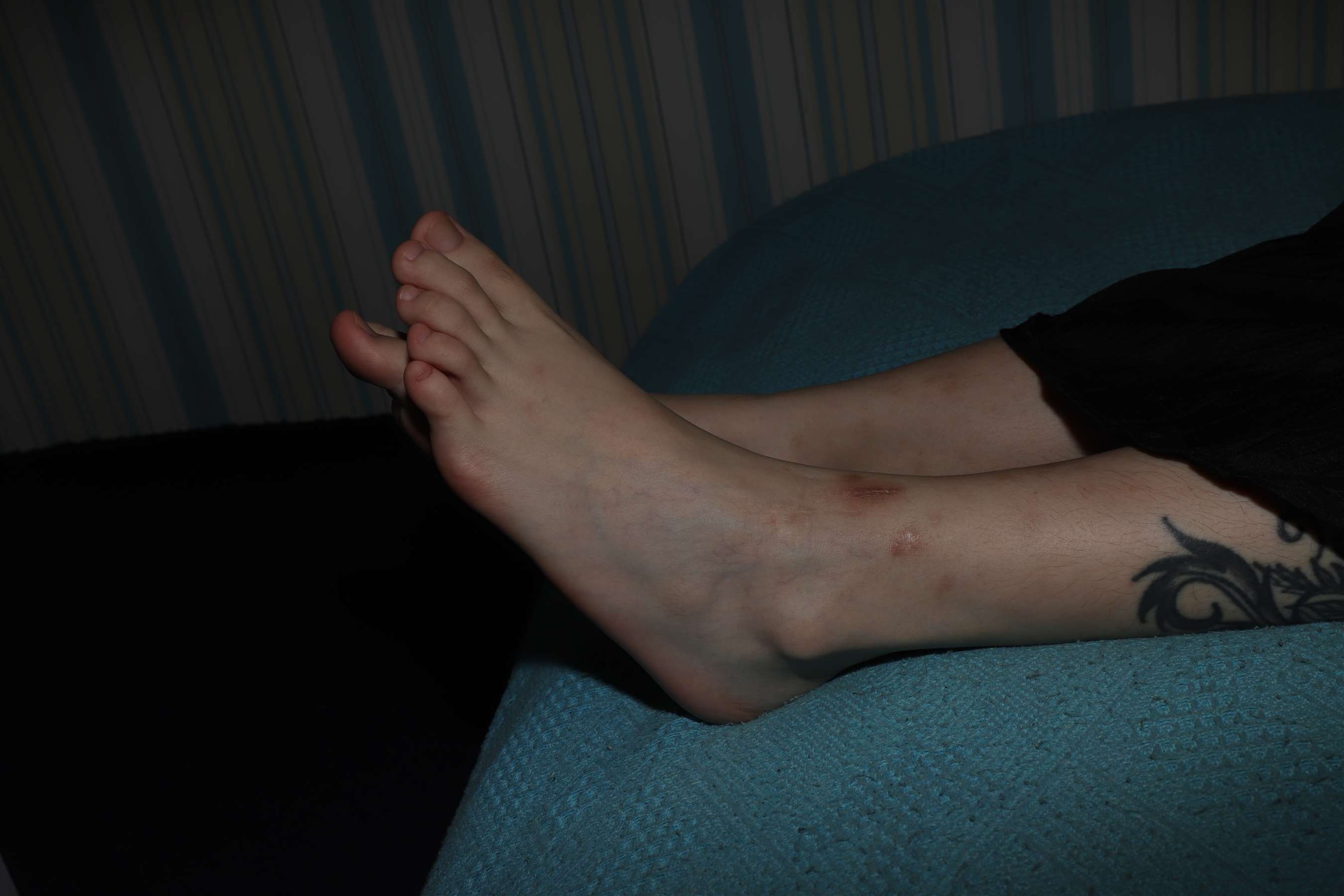 《琪琪第二篇》作品图