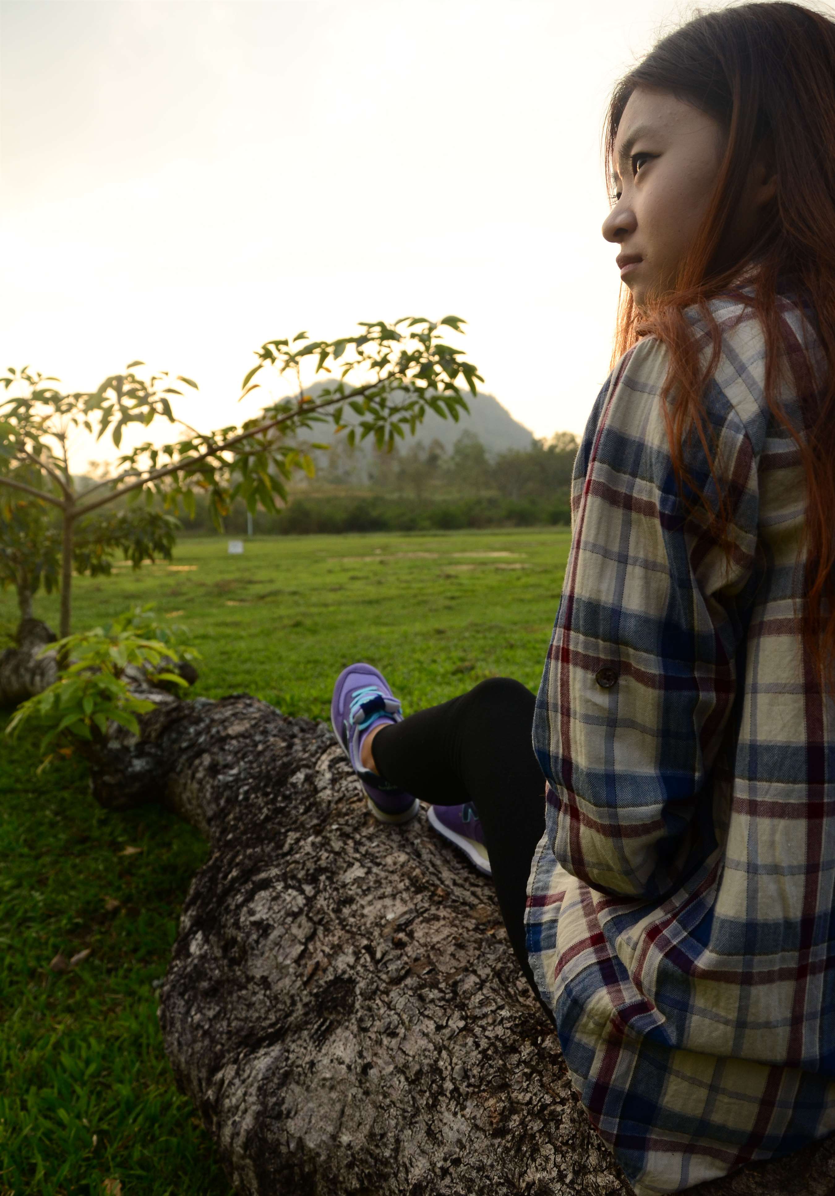 《新百伦の紫色棉袜脚》作品图