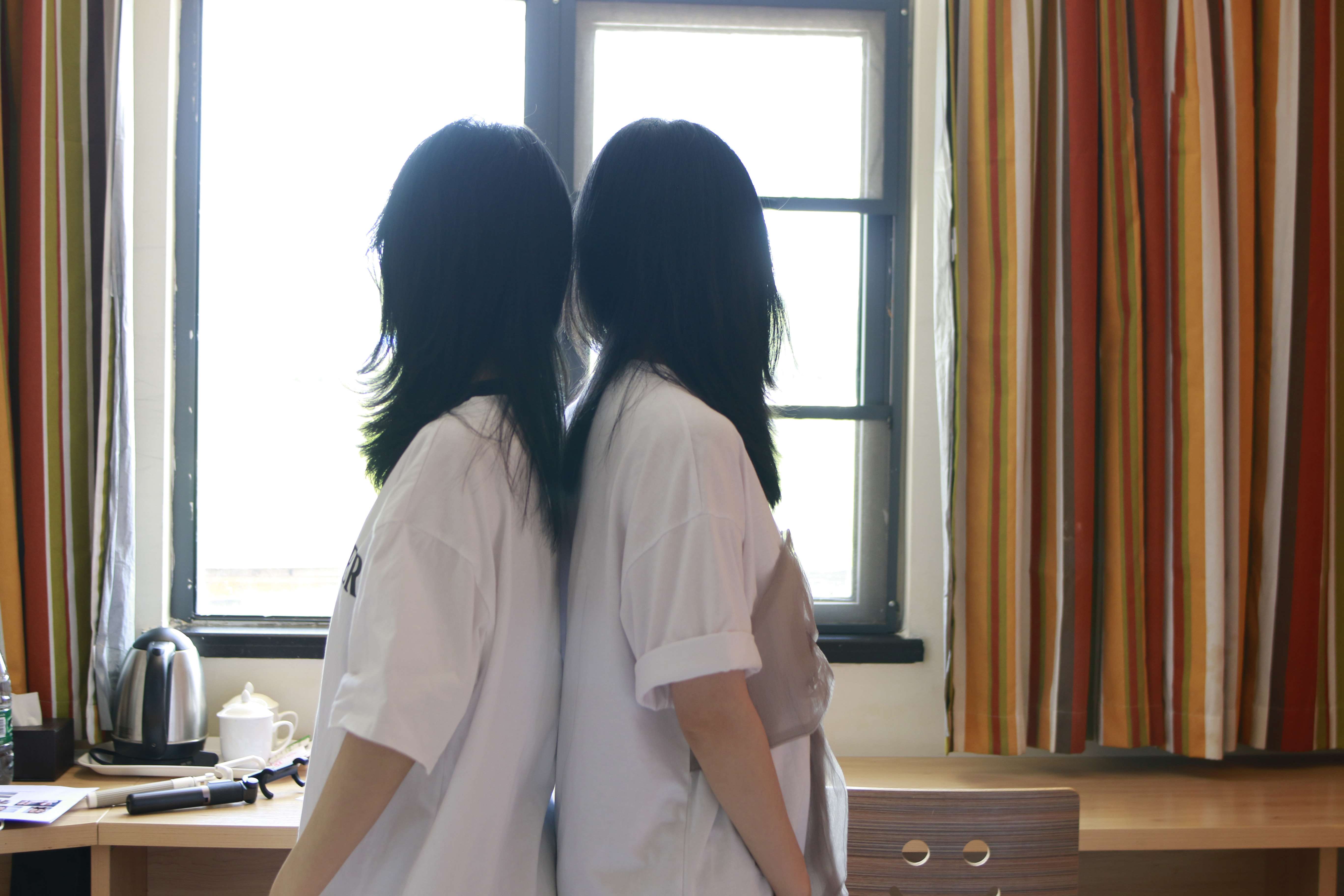 《姐妹间的物恋语》作品图