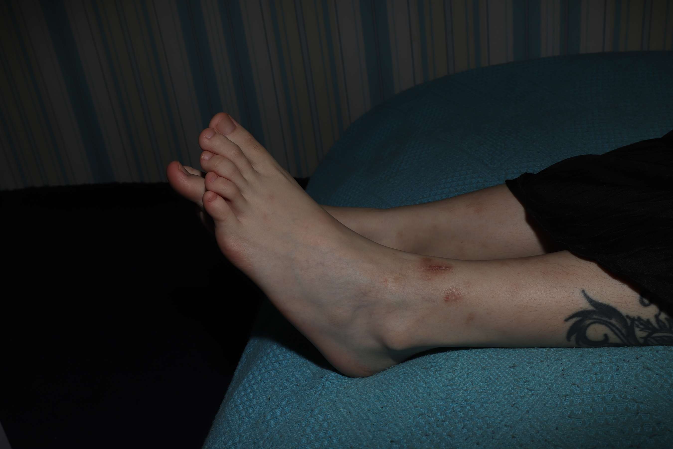 《琪琪第二篇》作品图