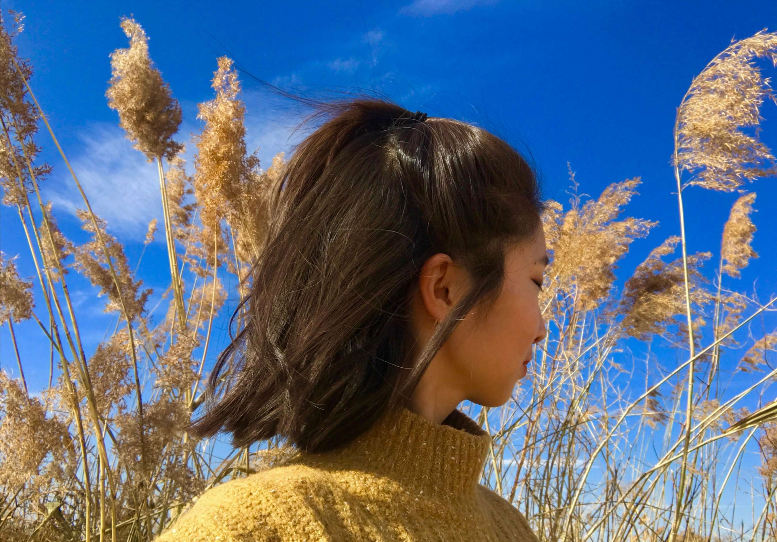 《艺术学院细腿班花小姐姐脚丫》作品图