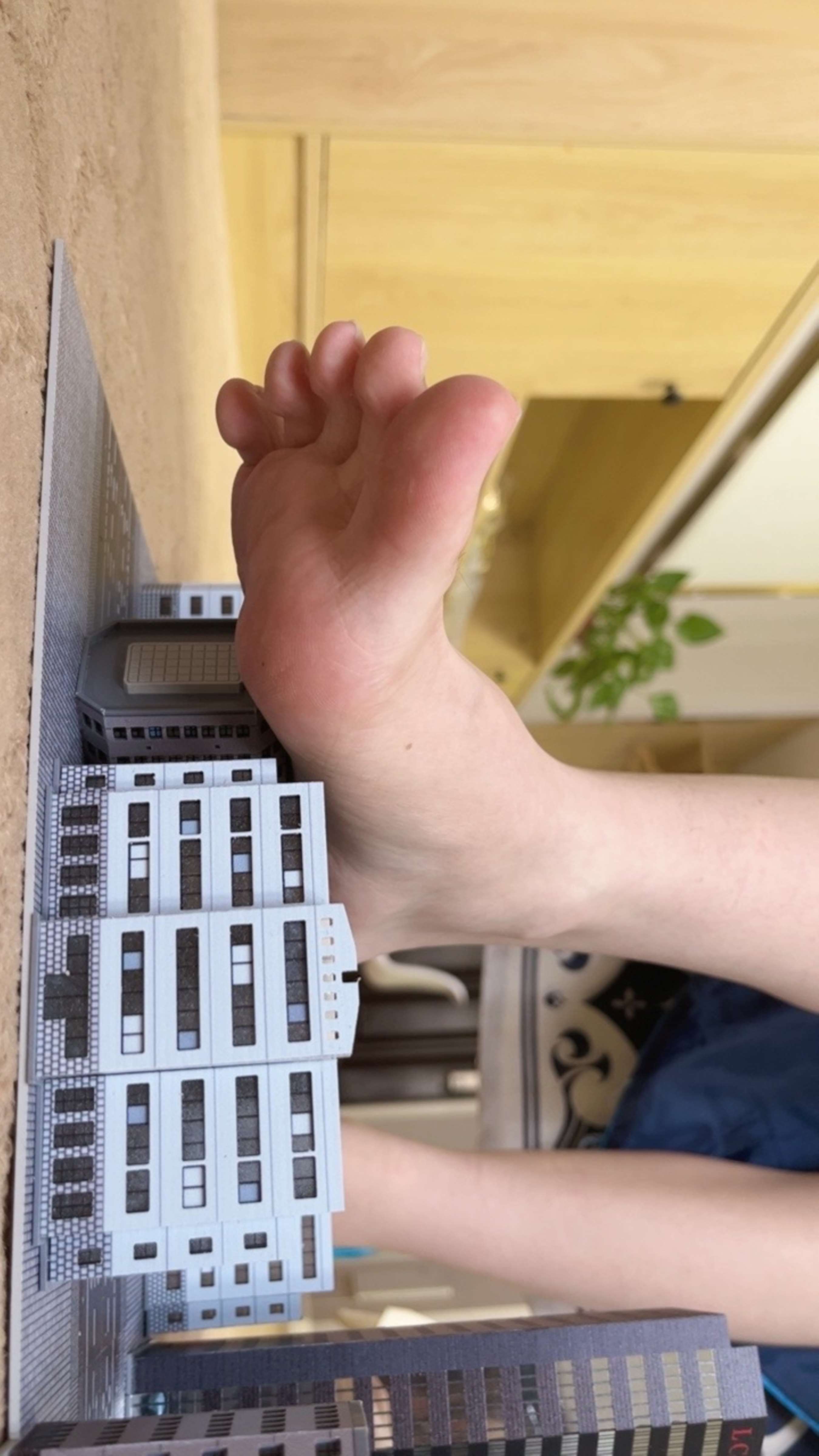 《超美coser妮露小姐姐玉足把玩直拍+tk》作品图